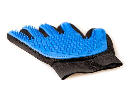 Tasskungen Active Canis Grooming Glove, right hand