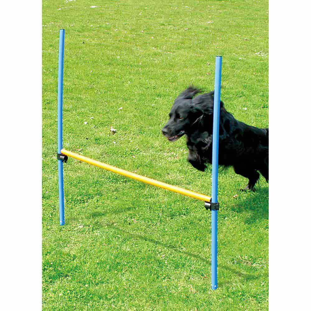 Tasskungen Agility – Agility Hinder– Höjd 116 cm