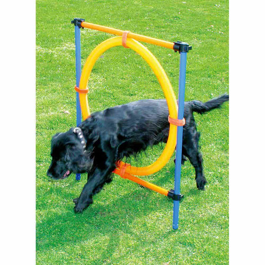 Tasskungen Agility – Agility Hinder Med Ring Ø55cm