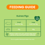 Tasskungen Foder Excel Guinea Pig 1,5 kg – Näringsrik och Fiberfylld Mat för Marsvin