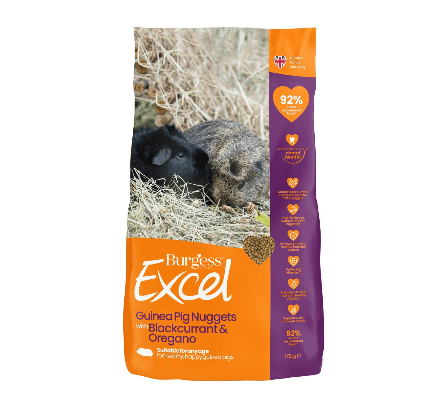 Tasskungen Foder Excel Guinea Pig Food with Blackcurrant and Oregano – Näringsrik och Smakfull Mat för Marsvin