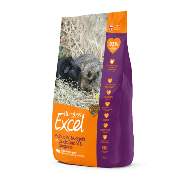 Tasskungen Foder Excel Guinea Pig Food with Blackcurrant and Oregano – Näringsrik och Smakfull Mat för Marsvin