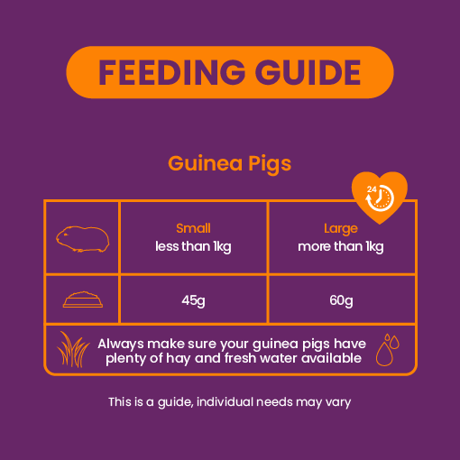 Tasskungen Foder Excel Guinea Pig Food with Blackcurrant and Oregano – Näringsrik och Smakfull Mat för Marsvin