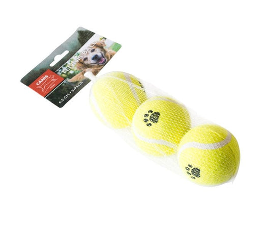 Tasskungen Hund Leksak Active Canis Dog Toy Ball 6,5 cm, 3-pack