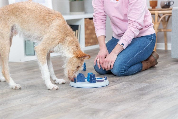 Tasskungen TRIXIE Dog Activity Flip Board XXL, Nivå 2, ø 28 cm