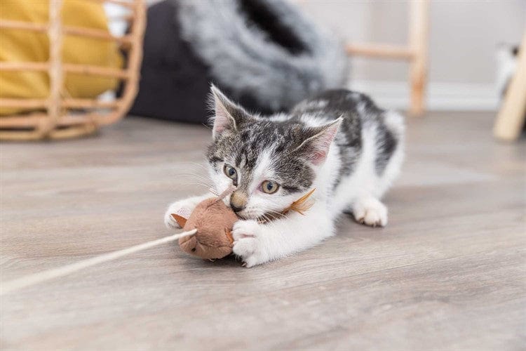 Tasskungen TRIXIE Kattvippa med Plyschmus & Catnip – 50 cm