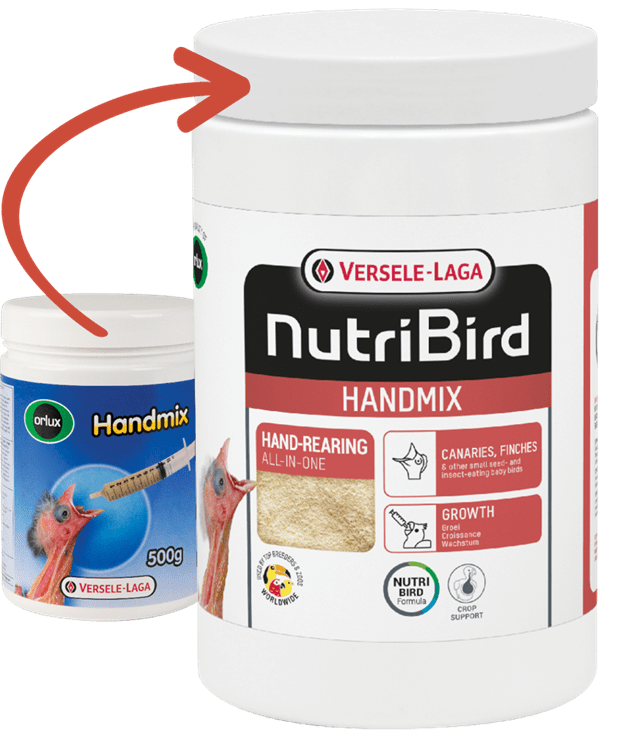 Tasskungen TRIXIE VL Nutribird Handmix 500g - Komplett Fågelnäring för Handuppfödning och Kompletterande Utfodring